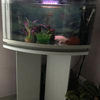 acquario 60 litri con mobile