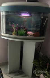 acquario 60 litri con mobile