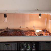 teca per pogona/accessori pogona