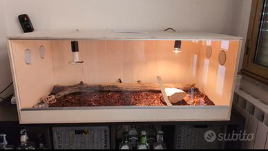 teca per pogona/accessori pogona