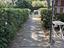 Immagine 6
