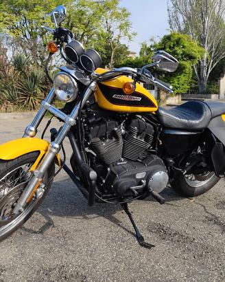 Harley Davidson sportster roadster scambi