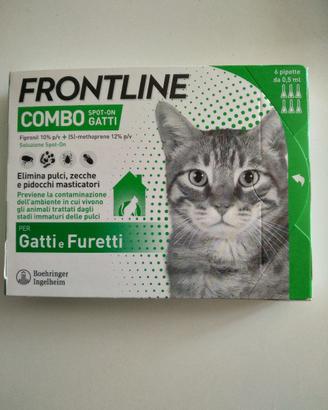 Frontline gatti medio-grandi Combo