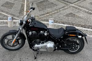 Harley-Davidson Softail Standard - 2024