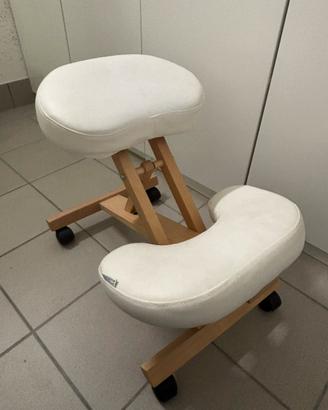 Sedia ergonomica