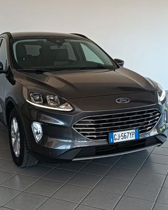 Ford Kuga 1.5 EcoBlue 120 CV 2WD Titanium Business
