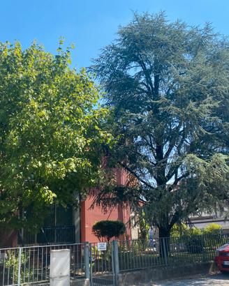 Solo studenti - zona campus