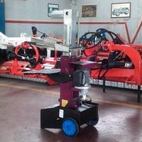 SPACCALEGNA VERTICALE ELETTRICO USATO
