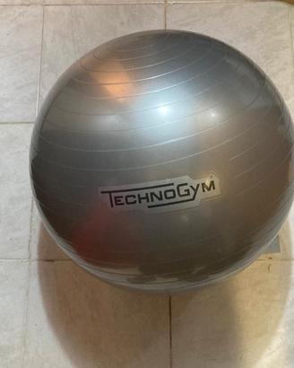 TECHNOGYM WELLNESS BALL TRAINING