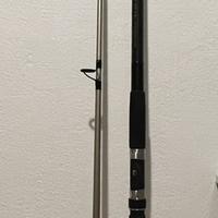Daiwa moonraker-Z