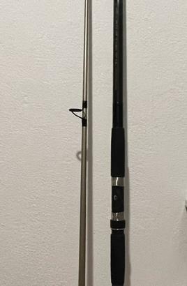 Daiwa moonraker-Z