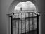 Immagine 15