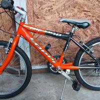 bicicletta bimbo/a 20 pollici