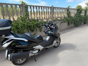 Eccellente Silver Wing