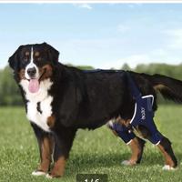 Tutori ortipedici per entrambe le ginocchia