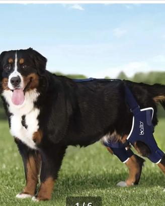 Tutori ortipedici per entrambe le ginocchia