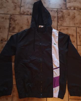 tuta lacoste completa M