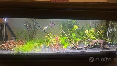 Acquario 100 L + mobile