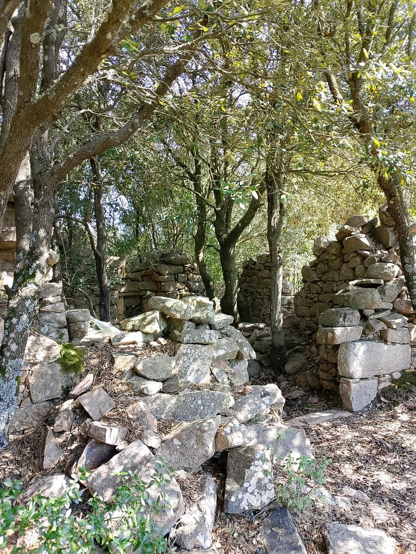 Terreno panoramico con rudere Gallurese - Vista 3
