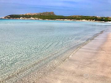 Last minute Agosto Sardegna - Santa Teresa Gallura