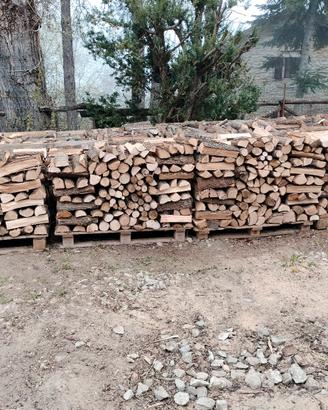 Legna da ardere 