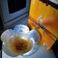 Ciotola 25 cm Primula Gialla Kasanova