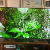 TV LG OLED 65 pollici 