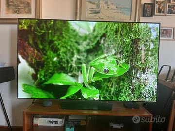 TV LG OLED 65 pollici 
