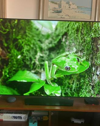 TV LG OLED 65 pollici