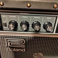 Roland J C 120