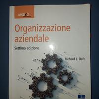 "Organizzazione Aziendale" di Richard Daft usato