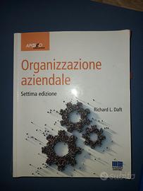 "Organizzazione Aziendale" di Richard Daft usato