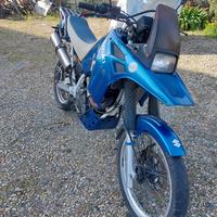 Suzuki big 800