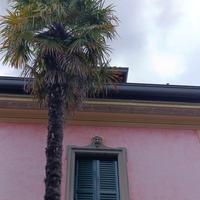 Addetta sala e bar con alloggio, Bellagio