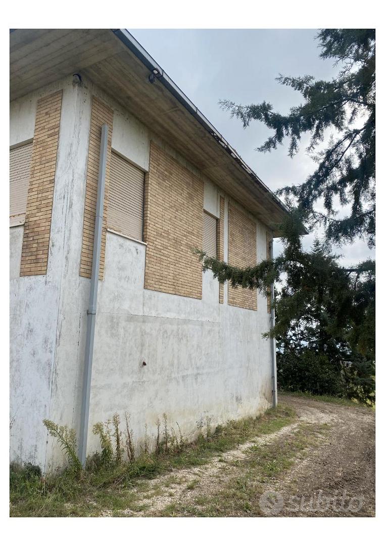 Terreno e casa colonica nel comune di OFFIDA (AP) - Altro