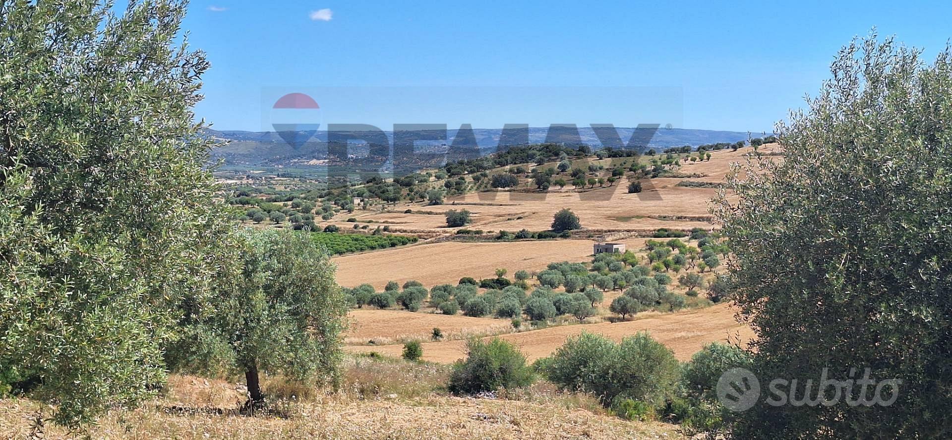 Terreno - Noto - Altro