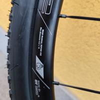 Cerchi MTB DT Swiss 29 pollici