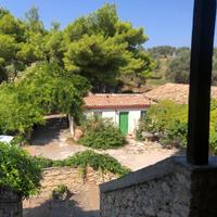 In campagna a 3 km dal mare di Copanello