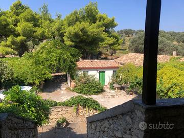 In campagna a 3 km dal mare di Copanello