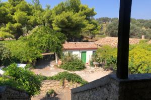 In campagna a 3 km dal mare di Copanello