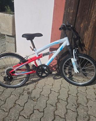 1 Mountbike trattabile
