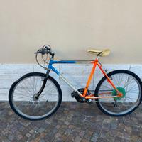 Mountain bike uomo-ragazzo