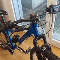 mountain bike