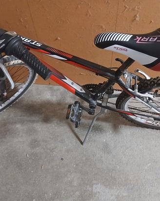 bici da ragazzino 