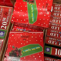 Luci natale tubo 10 metri multicolore