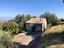 Immagine 9