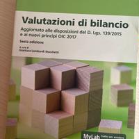 Valutazioni di bilancio - Stocchetti