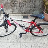 bici da ragazzo