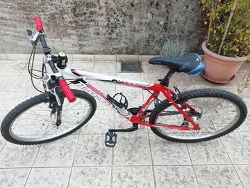 bici da ragazzo