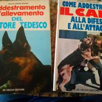 Addestramento cani